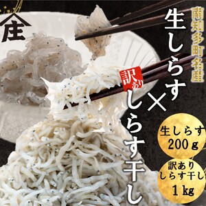 生しらす 200g 訳ありしらす干し 1kg セット 冷凍 刺身 真空パック しらす 炒飯 パスタ ごはん 丼 サラダ 魚 料理 愛知県 南知多町