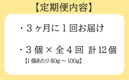 【3ヶ月毎定期便】 平貝 (タイラギ) 全4回 3個×4回 12個 冷凍 平貝 タイラギ 貝 魚貝類 魚貝 タイラガイ 魚介 貝類 冷凍