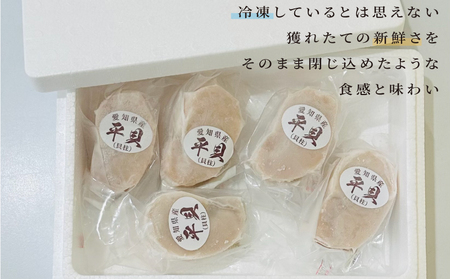 【3ヶ月毎定期便】 平貝 (タイラギ) 全4回 5個×4回 20個 冷凍 平貝 タイラギ 貝 魚貝類 魚貝 タイラガイ 魚介 貝類 冷凍