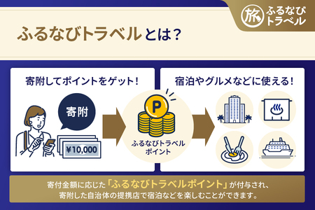 【旅行支援・宿泊無期限】旅行ポイント南知多町ふるなびトラベルポイント
