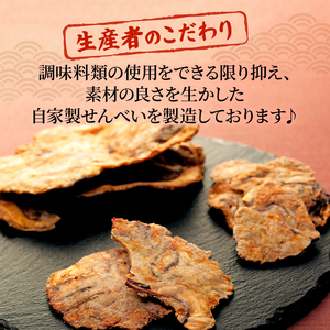訳あり いか 唐揚げ せんべい 100g × 3袋 自家製 ミネラル 天然 塩 小分け からあげ われせん せんべい 不揃い 煎餅 人気