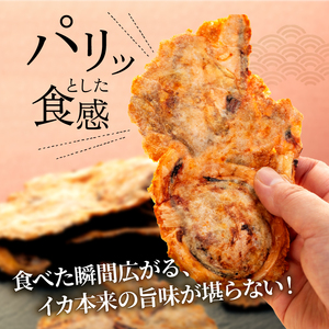 訳あり いか 唐揚げ せんべい 100g × 3袋 自家製 ミネラル 天然 塩 小分け からあげ われせん せんべい 不揃い 煎餅 人気