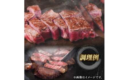 知多牛響 赤身ステーキ 600g(100g×6) ステーキ
