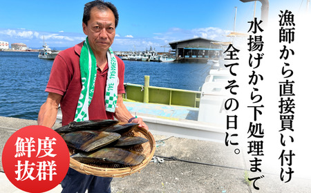 天然 平貝 スライス 4パック セット 冷凍 便利 かい カイ 魚貝 魚介 海鮮 刺し身 刺身 平貝 たいらがい カイ 魚貝 魚介 海鮮 貝 刺し身 刺身 平貝 タイラギ かい カイ 魚貝 魚介 海鮮 刺し身 刺身 平貝 タイラギ たいらがい かい カイ 魚貝 魚介 海鮮 刺し身 刺身 平貝 タイラギ たいらがい カイ 魚貝 魚介 海鮮 刺し身 刺身 人気 おすすめ 愛知県 南知多町