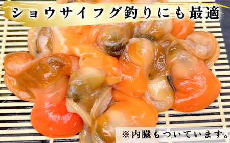 岬だよりの＜訳あり＞青柳釣り餌用 220g×2袋セット