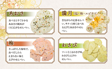 訳あり えび せんべい 詰め合わせ 10袋 計 約400g えびせんべい