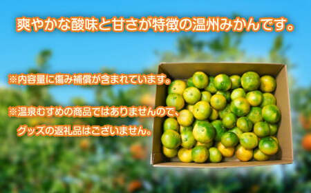 訳あり 温州みかん 約2kg 早生 みかん