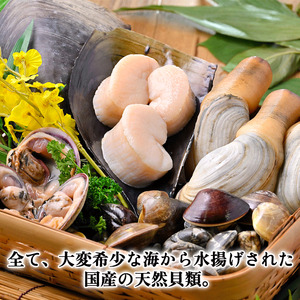 【天然貝×漁師直送】 極上 干物 6種 セット 岬だより