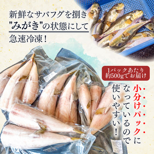 サバフグ むき身 500g 訳あり不揃い