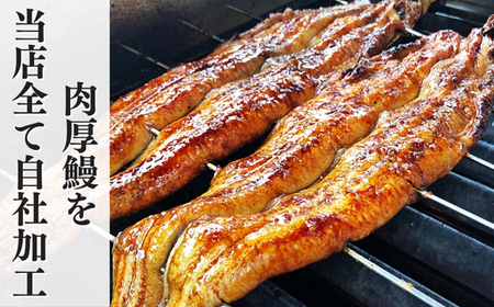 【三河一色産】ひつまぶし 鰻 5袋セット タレ・出汁付き うなぎ 岬だより