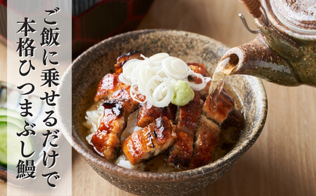 先行予約【三河一色産】ひつまぶし 鰻 10袋セット タレ・出汁付き うなぎ 岬だより