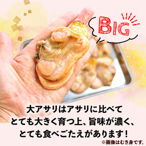 【限定寄附額】 大アサリ 半割 約1kg おおあさり