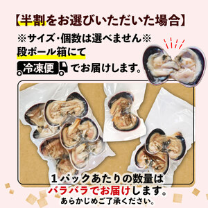【限定寄附額】 大アサリ 半割 約1kg おおあさり