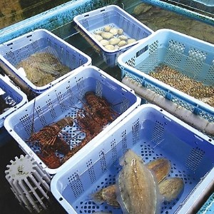 まるは食堂旅館 南知多豊浜本店　豪華御造り板盛付コース4名様用お食事券