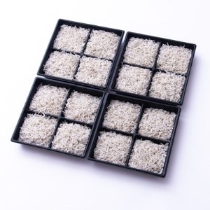 篠島産 しらす干し 1kg しらす 冷凍 小魚 おかず おすすめ 人気 愛知県 南知多町 [配送不可地域：離島]