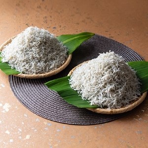 篠島産 しらす干し 1kg しらす 冷凍 小魚 おかず おすすめ 人気 愛知県 南知多町 [配送不可地域：離島]