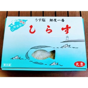 しらす 500g 冷凍 国産 愛知県 南知多町 魚 釜揚げ しらす さかな ご飯 ごはん おかず 日間賀島 おすすめ 人気 愛知県 南知多町 ※離島配送不可