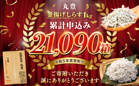しらす 1kg 釜揚げしらす 島の工場から直送 愛知県 日間賀島産 減塩 冷凍 丸豊 魚 さかな ご飯 ごはん 国産 シラス 離乳食 人気 おすすめ 愛知県 南知多町 【離島不可】
