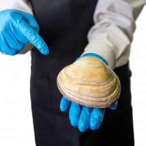 三河湾の天然大アサリ12切ギフトセット(約1.5kgCAS冷凍)下処理済・だし醤油&ネギ付き・お中元