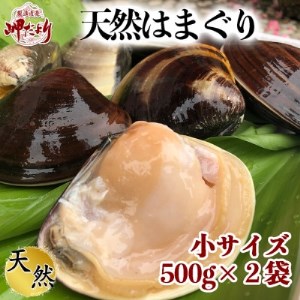 はまぐり 500g×2袋 ハマグリハマグリハマグリ 岬だより