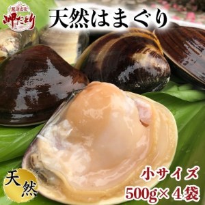 はまぐり 500g×4袋 ハマグリハマグリハマグリ 岬だより