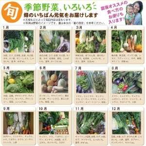 旬の季節野菜セット(10-12品目)＆平飼い玉子10個 [配送不可地域：離島]