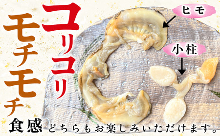 岬だより 貝専門店 の天然平貝 小柱・ヒモ5袋セット [配送不可地域：離島]