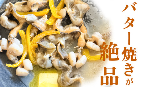 岬だより 貝専門店 の天然平貝 小柱・ヒモ5袋セット [配送不可地域：離島]