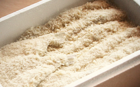 まるは食堂 大盛セット エビフライ6本 キスフライ6枚 特大エビフライ