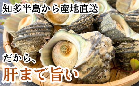 味付き サザエ つぼ焼き 温めるだけ