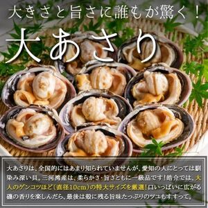 海鮮バーベキューセット1kg(大あさり500g＆サザエ500g)大アサリ専用だし醤油付き [配送不可地域：離島] 