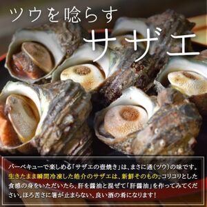 秀品 サザエ 1kg 蝦夷 アワビ 3個 海鮮 BBQ セット 贅沢 詰め合わせ 冷凍 生食可能 新鮮 詰合せ サザエ 海鮮バーベキュー