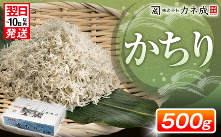 しらす ちりめん プレミアム 500g かちり 【12月26日までのご寄付で 年内発送可】  減塩 無添加 無着色 冷凍 新鮮 ちりめんじゃこ 冷凍 愛知県 南知多町 しらす ご飯 ごはん シラス 丼 料理 国産 カネ成 人気 おすすめ 