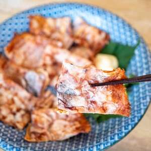 いか姿焼きせんべい 100g×3袋 カット済 冷凍 せんべい