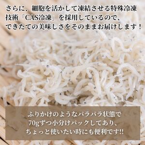 篠島 高級 釜揚げ しらす 干し 700g(70g×10袋) CAS冷凍 小分け しらす チリメンジャコ ちりめん 新鮮 愛知県 南知多町