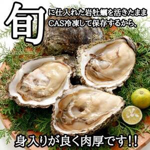 先行予約 XXLサイズ!天然岩牡蠣/特上1.5kg(2～3コ/殻付き生食用)CAS冷凍カキ