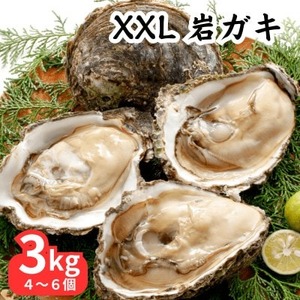 先行予約 XXLサイズ!天然岩牡蠣3kg(4～6個・特上・殻付き生食用)CAS冷凍カキ