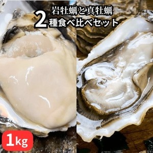 先行予約 篠島2種の天然殻付きカキ1kg(岩牡蠣&真牡蠣)食べ比べセット 生食用/CAS冷凍