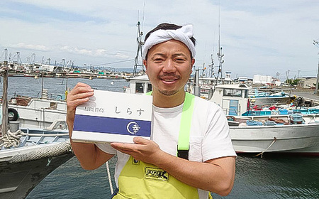 日間賀島 釜揚げ しらす 2kg 天然 塩 愛知県 南知多町 冷凍 ご飯 ごはん パスタ サラダ ピザ 丼 料理 国産 パーティー 魚 さかな シラス ミネラル 人気 おすすめ [配送不可地域：北海道･沖縄県･離島] 