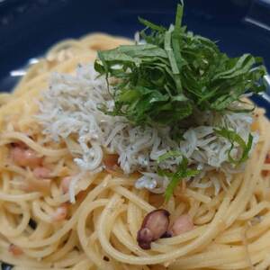 日間賀島 釜揚げ しらす 1kg 天然 塩 愛知県 南知多町 冷凍 ご飯 ごはん パスタ サラダ ピザ 丼 料理 国産 パーティー 魚 さかな シラス ミネラル 人気 おすすめ [配送不可地域：離島] 