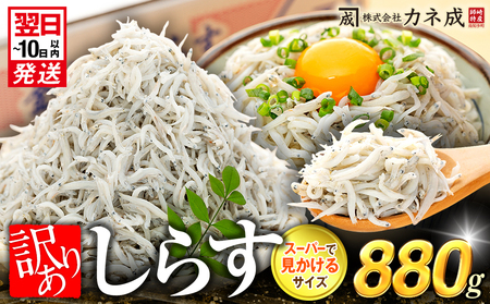  訳あり 釜揚げ しらす 880g ( 110g × 8 パック ) 小分け 【12月26日までのご寄付で 年内発送可】 減塩 無添加 無着色 冷凍 愛知県 南知多町 ご飯 ごはん 丼 国産 料理 人気 おすすめ [配送不可地域：北海道･沖縄県･離島] 