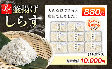  訳あり 釜揚げ しらす 880g ( 110g × 8 パック ) 小分け 【12月26日までのご寄付で 年内発送可】 減塩 無添加 無着色 冷凍 愛知県 南知多町 ご飯 ごはん 丼 国産 料理 人気 おすすめ [配送不可地域：北海道･沖縄県･離島] 