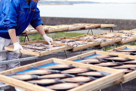 魚太郎 人気干物詰め合わせ 名物自家製ひもの 南知多名産ひもの とろさば あじ開き干し 穴子 河豚 真たこ 愛知県美浜町 ふるさと納税サイト ふるなび