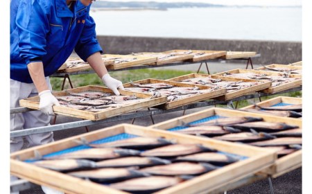 魚太郎 1番人気 とろさば 特盛セット 北海道 沖縄 離島への配送不可 着日指定不可 愛知県美浜町 ふるさと納税サイト ふるなび 魚太郎 1番人気 とろさば 特盛セット 北海道 沖縄 離島への配送不可 着日指定不可 愛知県美浜町 ふるさと納税サイト ふるなび