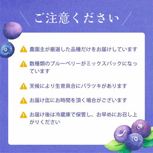 【先行受付予約】知多半島 生ブルーベリー 800g（100g×8パック） 完熟 果物 フルーツ 旬 農園直送 青果物 国産 健康 美容 愛知県 美浜町 ブルーベリーの里みはま 産地直送 ※2026年6月上旬～8月中旬に順次発送予定 送料無料 数量限定 期間限定 ※北海道・沖縄・離島への配送不可