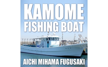 かもめ釣船 乗船チケット （3,000円分） | 釣り船 キャスティング サビキ ルアー 泳がせ 初心者歓迎 釣船 フィッシング 船釣り 体験 レジャー 船 船 魚 釣り さかな チケット 観光 旅行 ふね 釣舟 ふるさと納税魚 ふるさと納税フィッシング ふるさと納税体験 ふるさと納税釣り クーポン 乗船券 ふるさと納税利用券 愛知県 美浜町 人気 おすすめ