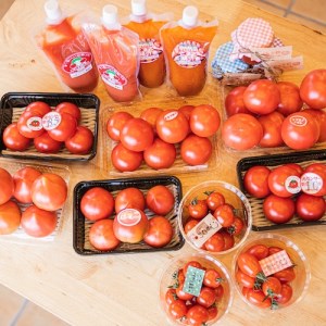 ソプラノトマト　約3.5kg ※2024年1月～5月まで順次発送予定