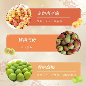 知多梅酒720ml 1ケース ◆ ❘ 梅酒　お酒　國盛　國盛FARM　果実酒　食前酒　リキュール　ロック　ソーダ割　紅南高梅　南高梅　完熟梅　フルーツ　愛知県　美浜町　中埜酒造