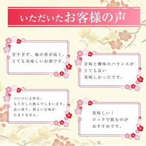 知多梅酒720ml 1ケース ◆ ❘ 梅酒　お酒　國盛　國盛FARM　果実酒　食前酒　リキュール　ロック　ソーダ割　紅南高梅　南高梅　完熟梅　フルーツ　愛知県　美浜町　中埜酒造