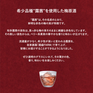 知多露茜720ml×1本 ◆ ❘ 梅酒　お酒　國盛　國盛FARM　果実酒　食前酒　リキュール　ロック　ソーダ割　紅南高梅　南高梅　完熟梅　フルーツ　愛知県　美浜町　中埜酒造